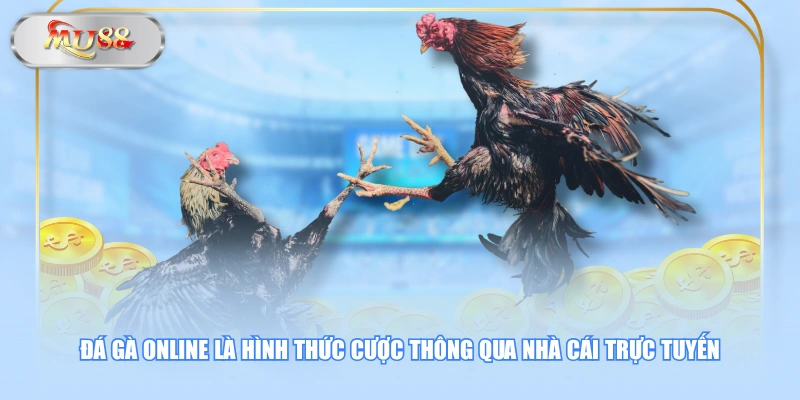 Đá gà online là hình thức cược thông qua nhà cái trực tuyến