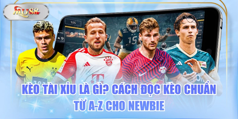 Kèo Tài Xỉu Là Gì? Cách Đọc Kèo Chuẩn Từ A-Z Cho Newbie
